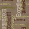 Жаккард Excellent 9 (Союз-М)