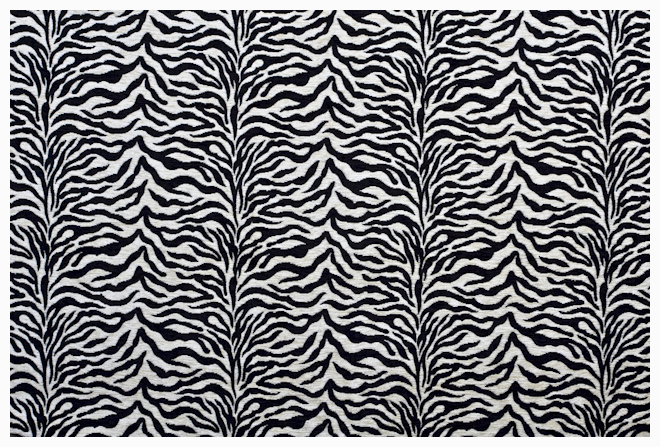 Шинил Tanzania zebra albino (Арбен)