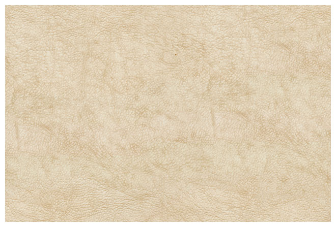   silk ()
