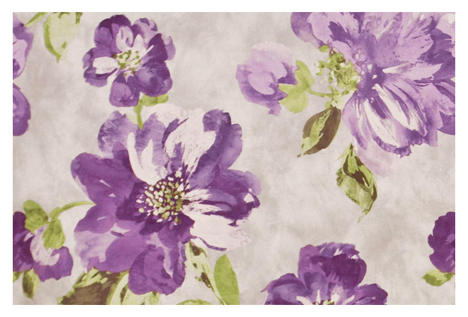   violet ()