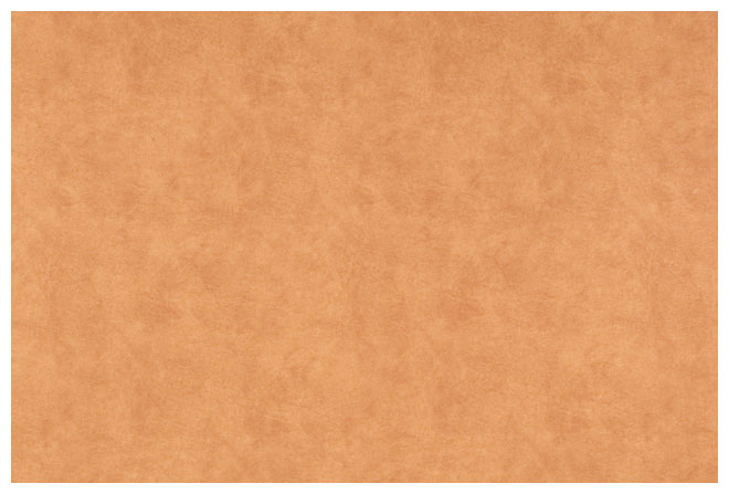   camel ()