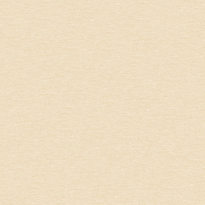 Шинил Costa 20 (Союз-М)