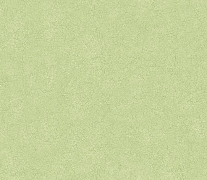 Кожзам Oregon 19 (Союз-М)