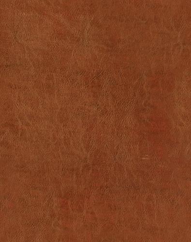 Кожзам Oregon Natural 137 (Союз-М)