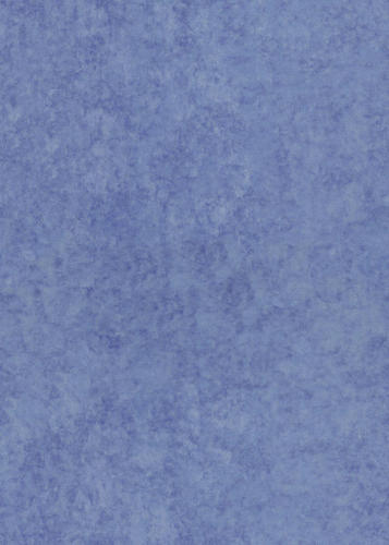 Флок Beta 206 (Союз-М)