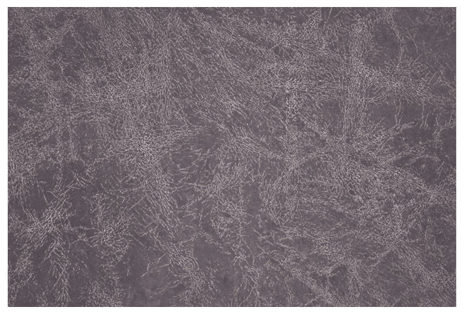 Флок Passion anthracite (Арбен)
