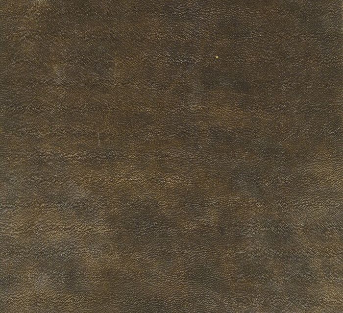 Кожзам Exotica leda bronze (Аметист)