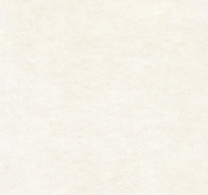 Кожзам Exotica plain white (Аметист)
