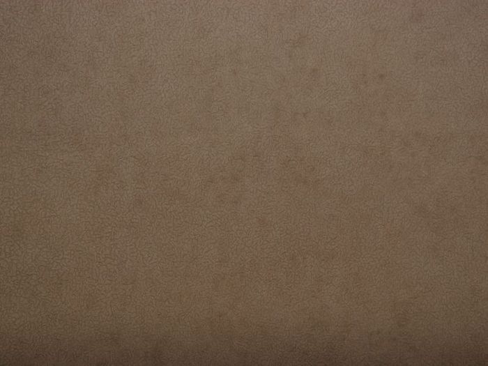 Велюр Эврика lamb 66 (TextileData)