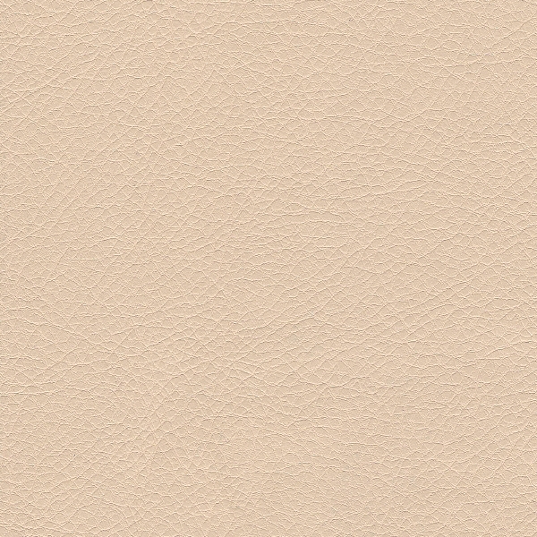 Кожзам Sontex beige.png ()