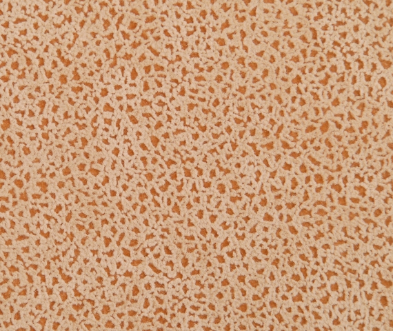 Флок Dream Puma 658 (Союз-М)