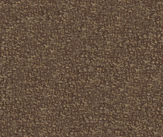 Шинил Silva com 04 (Союз-М)