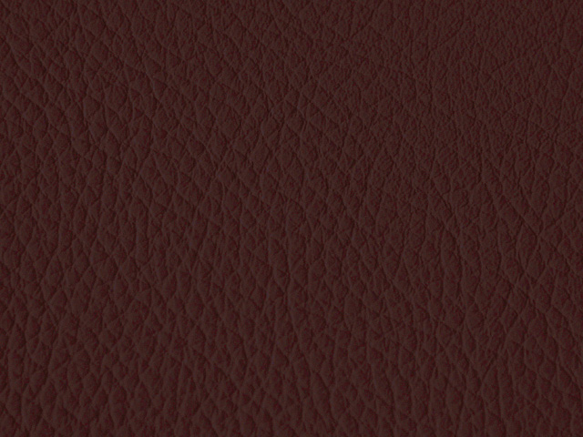 Кожа Palma Dollar brown (LAKAWANNA)